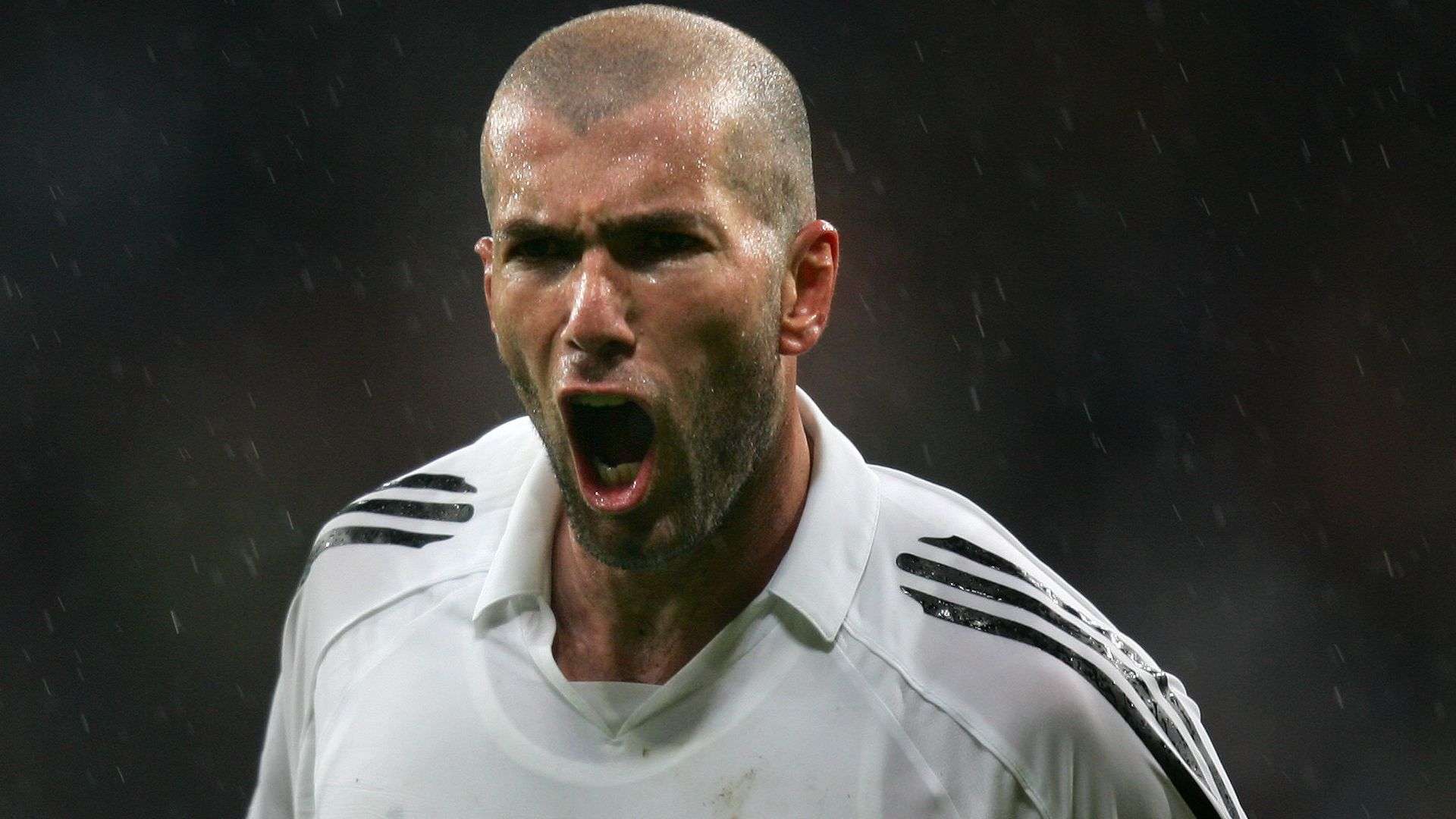 提升的整体 提升的整体