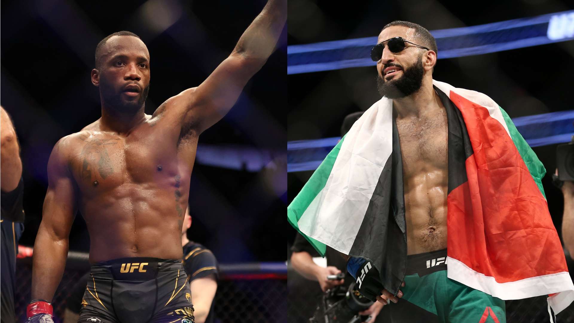 主教练安切 主教练安切